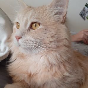 Meet your Posher, Edward